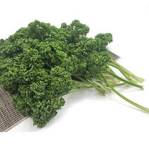 야채왕 파슬리 300g, 1개