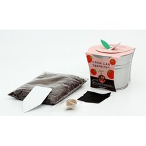 어린이 토마토 나팔꽃 키우기 캔화분 세트 실내식물 대파 상추 작물 고기채소 오이, 스위트바질