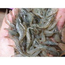 국내산민물새우 자연산, 500g, 1개