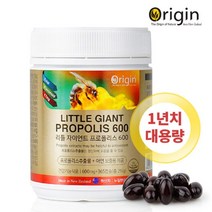 청정 뉴질랜드 프로폴리스 365캡슐 1년치 대용량 꿀벌 면역력 영양제 기관지 복합식품 플로폴리스 항산화 수용성 구강 그린 어린이 키즈 유아 아기 추천 / 알약케이스 사은품 증정