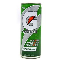 현모양처 무료배송롯데칠성 게토레이 240ml X 30캔 (행사상품), 상세페이지 참조