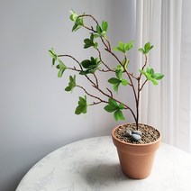 [올리브덴] 엔카이셔스 조화 일본철쭉 인조나무 식물 2 color, 연두색
