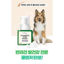 아로마그래피 포밍포워시