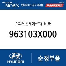 스피커 앗세이-트위터 좌 (963103X000) 아반떼MD