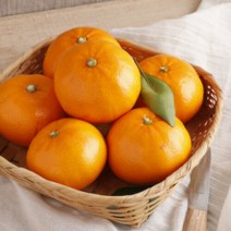 가락시장 제주레드향(1kg내외/4~6입)