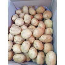 포슬 강원도 햇감자 홍감자 수미감자 카스테라, 대-(찜용)5kg, 일반 햇감자