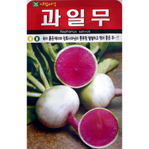 과일무 무씨앗100립