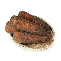 [팔도농장] 제주 화산토 햇 흙 당근 (왕/즙용)3kg/5kg/10kg, 당근(왕/즙용) 5kg