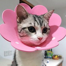 고양이 강아지 중성화넥카라 꽃모양 상처보호 부드러운 EVA스폰지소재, 옐로우, S