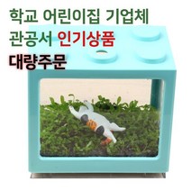 [천삼백케이] [미미네아쿠아] 캣츠핑 파릇파릇 씨앗수초 키우기 식물 관찰 세트, 단품