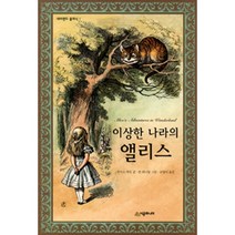 이상한 나라의 앨리스[시공주니어][루이스 캐롤 저], 루이스 캐롤 저/존 테니엘 그림/손영미 역, 시공주니어