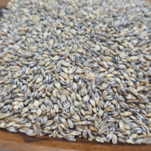 러브그레인 2021년 검정보리 쌀 블랙보리 흑보리 흑찰보리 쌀, 1개, 500g