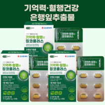 혈행징코플러스30정 기억력 혈행건강 플라보노이드 은행잎추출물 나이아신 판토텐산 아연 비오틴, 2개, 30정
