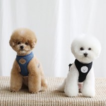 [카민프로젝트] 반려동물 베베 하네스 모음주문제작, BLUE/L