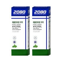 2080 자일리톨 애플민트향 치약 110g, 2개