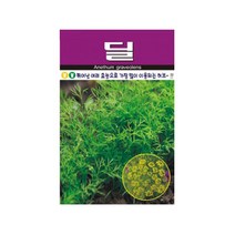 [P1D] 허브 커몬 구근 딜 씨앗 야생화 꽃씨 종자 원예 300립 / 씨앗 정원꾸미기 야생화씨 씨앗판매 종묘사 ( P1D / 991247EA ), 본상품선택