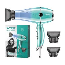 바디드라이어 VGR Hair 드라이어 Professional 2400W (High) 저 (힘 과열 Protection 강한 Wind 건조기 Car, [01] EU, 01 V-452_01 EU