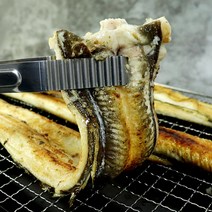 통영에서 갓 잡아올린 자연산100% 활장어 바다장어 1kg 산지직송 여름보양식 장어구이, 자연산 통영 활 장어 중(4~6미) 1kg, 1개