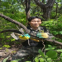 야생자연산100%칡순즙(110mlx60)