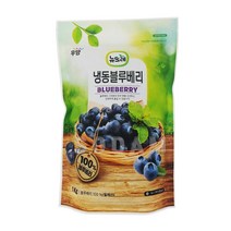 뉴뜨레 칠레산 냉동 블루베리 1kg /무가당홀 우양냉동식품, 4kg(1kgx4팩)
