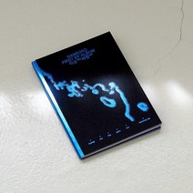 한로로 - EP 1집 이상비행