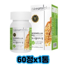 40대 50대 인도산 먹기편한 보스웰리아 효능 관절 BCC 복용법 보수엘리아 30대 60대 남성 여성 남자 여자 부모님 선물