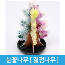 과학 눈꽃실험 요소나무 실험키트 초등학교과학 실링, 10인