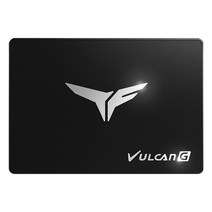 엠지컴/TeamGroup T-Force VULCAN G (1TB)