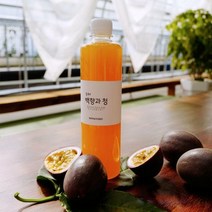 [남도장터]영암로컬푸드 씨없는 백향과청 250ml