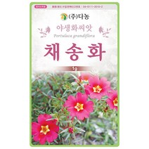 꽃양귀비 1g - 야생화 씨앗 꽃씨 씨 꽃씨앗 양귀비 개양귀비 다년생꽃씨 여러해살이 야생화씨 야생화씨앗 꽃, 35_다농_채송화(1g)