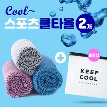 (주)큰손부라더 아이스쿨타올 스포츠 쿨 타올 여름 습식 수건 쿨링 냉 타월 토시 1+1+전용파우치, 쿨타올 블루, 2개