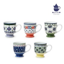 폴라브 머그 5P, 머그5P