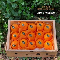첫 출하! 제주 제철과일 카라향 1.5kg 2.5kg 3.5kg(선물용) 나른한 봄을 깨우는 싱그러운 과즙이 팡팡, 1.5kg(10-14수  선물용)