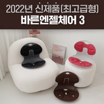 바른엔젤체어 프리미엄 바른자세유지 허리보호 의자, 브라운