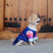 강아지 설날 한복 설빔 소형견 중형견 반려견 도련님 색동한복 새해옷 남아