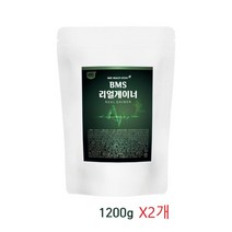 팔라티노스 가루 분말 MPB 엠피비 식물성 추출물 효능 유청단백질 곡물단백질 아르기닌 아미노 글루타민 게이너 파우더 1kg 단백질보충제 BCAA 추천, 일천이백gx2개