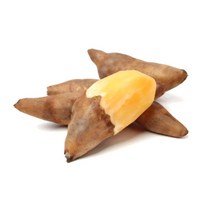 야콘 상품 5kg 10kg 특품 생야콘 즙용 생식용 땅속의 배 산지직송 햇야콘, 야콘(상품 5kg)