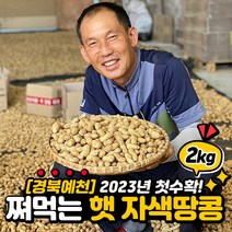 2023 국산 예천 햇 자색땅콩 쪄먹는 풋땅콩 생땅콩 흙땅콩 물땅콩 2kg, 햇자색땅콩 2kg