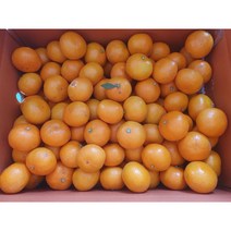 제주 고당도 감귤 노지 조생귤 로얄과 5kg 10kg, 중대과5kg