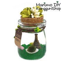 마리모 키우기 반짝반짝 LED푸딩 세트-초록, 1개