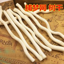 24CM 싱글 자연 말린 나뭇가지 스틱 브랜치 홈 발코니 크리스마스 꽃꽂이 드림 캐쳐 액세서리 드림캐쳐, 한개옵션0