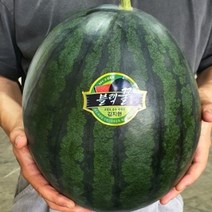 흑수박 7kg 국내산 고당도 흑미 꿀 수박 진맛깔, 1개