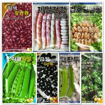 콩씨앗 모음 종자 호랑이콩씨앗 강낭콩씨앗 녹두씨앗 완두콩씨앗 작두콩씨앗, 1. 검정 강낭콩