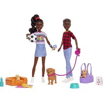 Barbie It Takes 2 Playset with Jackson & Jayla Twins Dolls & 3개의 애완 동물 강아지 및 액세서리 3, 단일옵션
