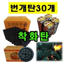 번개탄 연탄숯 착화탄 점화탄 난로 장작 갈탄 열탄 식당숯 식당용숯 백탄 바베큐참숯 바베큐숯 차콜 차콜숯, 번개탄30개