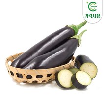 온도씨 가락시장 가지 10개, 단품