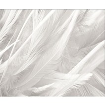사용자 정의 깃털 벽지 TV 배경 벽 거실 흑백 침실 3d 벽화, 01 1_01 Silk cloth