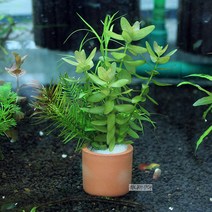 3종 랜덤(1포트)