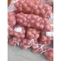 국내산 적양파 자색양파 햇양파 빨간 적색 대용량, 5kg