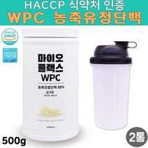 HACCP 해썹 식약처 인증 무첨가 고성능 고단백 순수 WPC농축유청단백 멀티 복합 완전 균형 단백질 보충제 효과 필수아미노산 류신 프로틴 파우더 대용량 통 맛있는 아침 식사대용 요거트 순위 추천 쉐이크 만들기 텀블러 증정, 2통, 500g